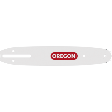 guide OREGON 100SDEA041