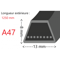 Courroie A47