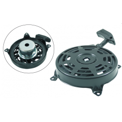 Lanceur adaptable Briggs Stratton 497598