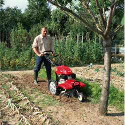 Pompe à eau Honda WX15T