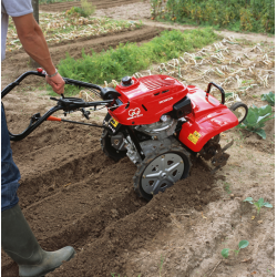 Pompe à eau Honda WB20