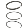 Segments 298982 std BRIGGS STRATTON