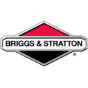 moteur Briggs Stratton
